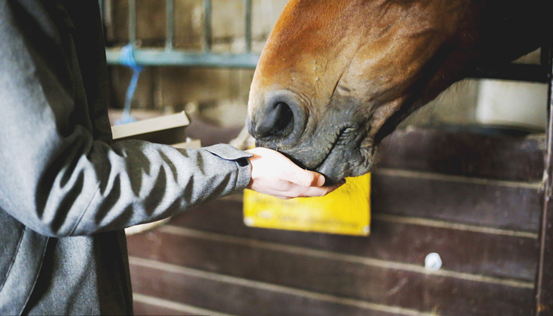 Z6�������й��ٷ���վ