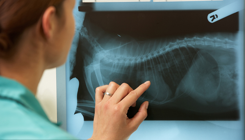 Z6�������й��ٷ���վ