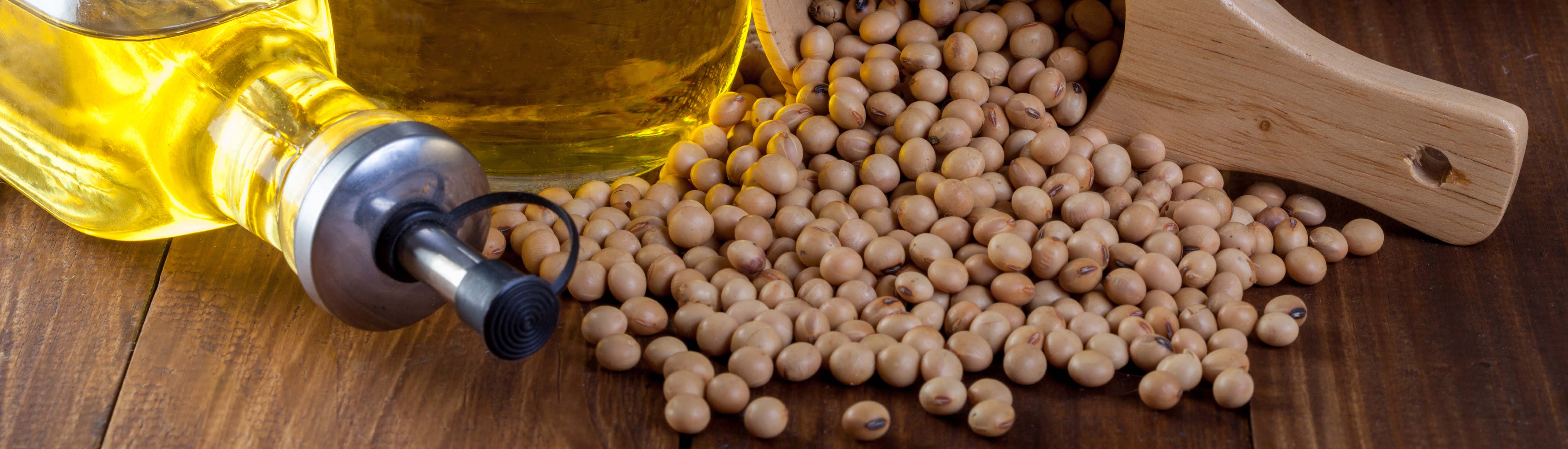 Z6�������й��ٷ���վ